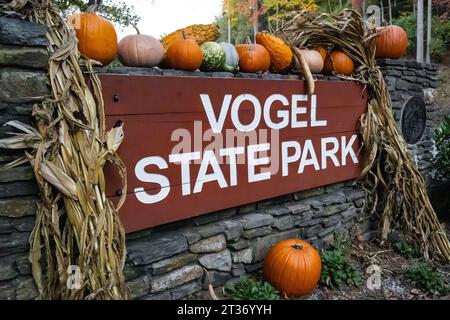 Colorful pumpkins decorate the entrance sign at Vogel State Park in the North Georgia Mountains near Blairsville. (USA) Stock Photo