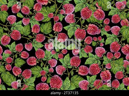 Seamless pattern with raspberry. Handmade Watercolor illustration. On a black background. For textiles, packaging, backgrounds and decor Stock Photo