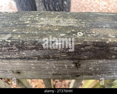 Weathered wooden rustic old ledge on a deck outdoors close up Stock Photo