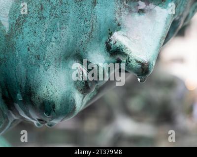 Raindrops on the nose of a fountain figure, detail of the Donnerbrunnen, created by Georg Raphael Donner 1739, largest Viennese fountain, Neuer Stock Photo