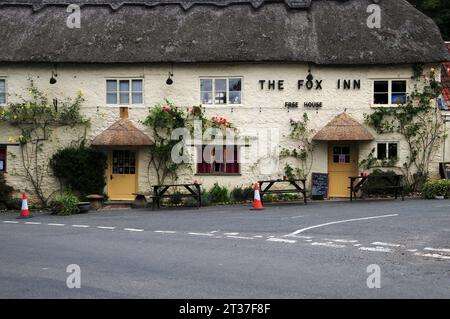 Thatched pub in the village of Corscombe, Dorset, UK Stock Photo