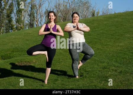 Two middle-aged women practice yoga in city park, tree pose, standing barefoot on grass. Namaste. Healthy lifestyle, fitness, Pilates, weight loss. Ov Stock Photo