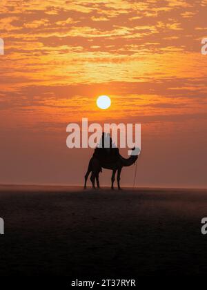 Tourists riding a camel at sunrise on sandy beach in Varanasi, Uttar Pradesh, India. Stock Photo