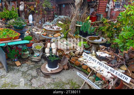 Roadside garden at Finn Slough in Richmond British Columbia Canada Stock Photo