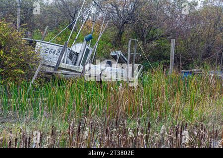 Anabandoned fishing boat in Finn Slough Richmond British Columbia Canada Stock Photo