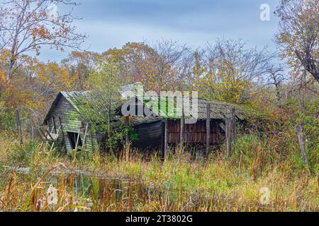 A derelict cabin and boathouse in Finn Slough Richmond British Columbia Canada Stock Photo