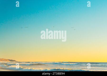 Breathtaking moment as the sun sets over the horizon, painting the sea and sky in a palette of warm, vibrant hues, copy space for the text Stock Photo