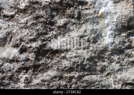 Gray stone with rough texture. Stock Photo