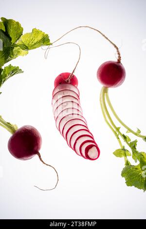 Fresh red raddish sliced and rooted on white background Stock Photo