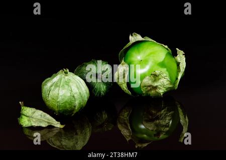 Fresh tomatillos isolated on a black background Stock Photo