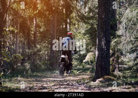 motorcycle racer on an enduro sports motorcycle rides through the forest in an off-road race in summer on a sunny day from the back Stock Photo