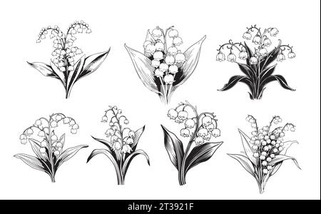 Set with lily of the valley flowers and herbs.Flowers Stock Vector