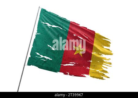 Cameroon torn flag on transparent background with blood stains. Stock Photo