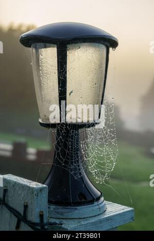 Early morning autumn dew on cobwebs, South Wales Stock Photo