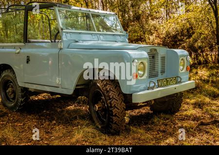 Land Rover Series II parked in UK woodland in Autumn. Stock Photo