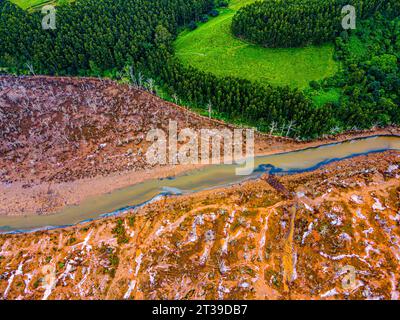 Drone capture of a contrasting landscape, showing a dense green forest adjacent to a muddy deforested area with a narrow river in between Stock Photo