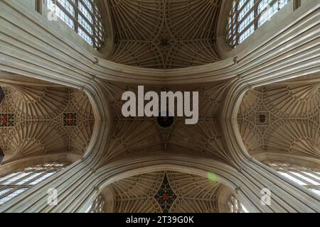 Interior ceiling of Bath Abbey, Bath, Somerset, England. Stock Photo