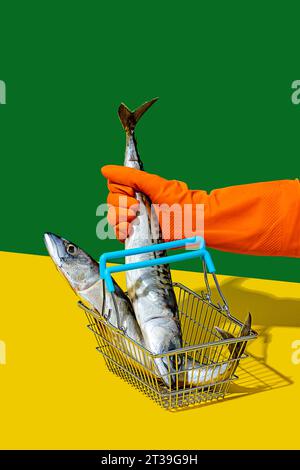 Side view of crop anonymous person in orange glove placing fish in basket placed on yellow surface against green wall Stock Photo