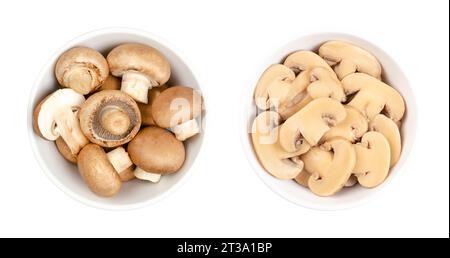 Cultivated brown mushrooms, fresh and canned slices, in a white bowl. Agaricus bisporus, or also champignons, common, button or table mushrooms. Stock Photo