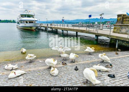 Zurich, Switzerland- May 25, 2023 : Cruise ship docked awaits tourists at Lake Zurich harbor in Switzerland. Stock Photo