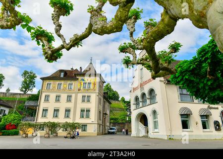 Rapperswil-Jona, St. Gallen May 25,2023: View of the Rapperswil harbour beautiful town located on the upper end of Lake Zurich ,Switzerland Stock Photo