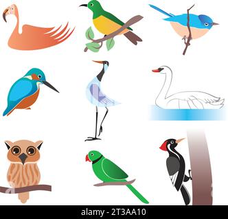 Colorful Set of Cute Hand Drawn Vector Birds found in different places in the world Stock Vector