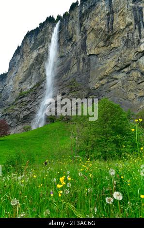 View of Staubbach falling from cliff in Lauterbrunnen, Switzerland Stock Photo