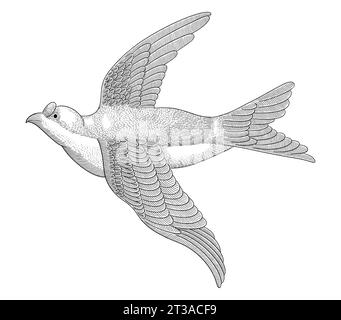 Swallow bird, vintage engraving drawing style vector illustration Stock Vector