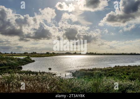 Low autumn sun shining through the clouds over the Beninger Slikken wetlands on the island of Voorne in the Netherlands Stock Photo