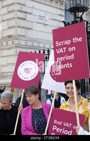 London, UK. 24th Oct, 2023. A protest against VAT on Period Pants was held outside Downing Street London UK. Credit: Ian Davidson/Alamy Live News Stock Photo