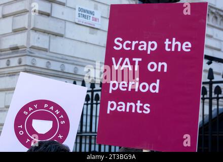 London, UK. 24th Oct, 2023. A protest against VAT on Period Pants was held outside Downing Street London UK. Credit: Ian Davidson/Alamy Live News Stock Photo