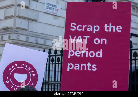 London, UK. 24th Oct, 2023. A protest against VAT on Period Pants was held outside Downing Street London UK. Credit: Ian Davidson/Alamy Live News Stock Photo