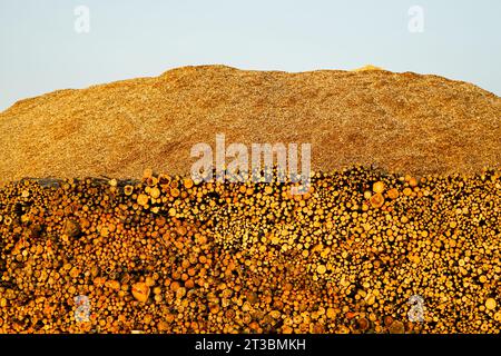 Large pile with logs and wood chips, sustainable renewable heat energy source, logs and wood chips background Stock Photo