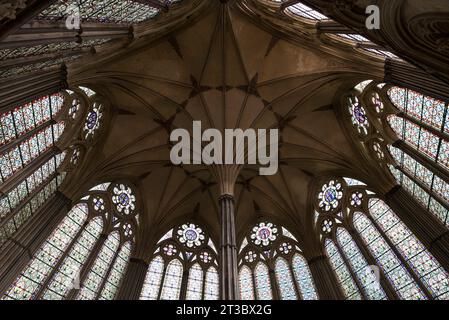 Chapter House - home of the Magna Carta in Salisbury Cathedral, UK Stock Photo