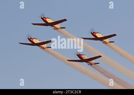 Israeli Air Force T-6 Texan II Efroni from the IAF Aerobatic Team during a display. Stock Photo