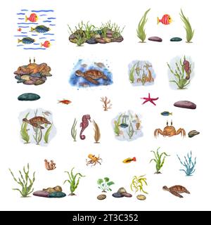 Sea set. Fishes, crab, tortilla, keeps in the aquatic environment. Underwater world. Stones, green weeds, sea animals. Watercolor illustration Stock Photo