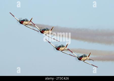 Israeli Air Force T-6 Texan II Efroni from the IAF Aerobatic Team during a display. Stock Photo