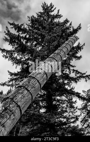 Totem pole marking the number of potlatches by a powerful leader in the ancient village site of K'uuna Linagaay, aka Skedans, on Louise Island, aka K' Stock Photo