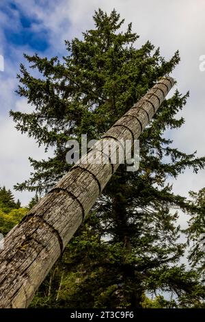 Totem pole marking the number of potlatches by a powerful leader in the ancient village site of K'uuna Linagaay, aka Skedans, on Louise Island, aka K' Stock Photo