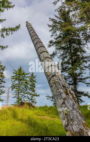 Totem pole with grooves marking numbers of potlatches, in the ancient village site of K'uuna Linagaay, aka Skedans, on Louise Island, aka K'uuna Gwaay Stock Photo