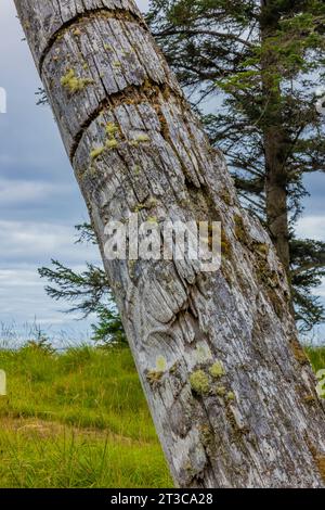 Totem pole with grooves marking numbers of potlatches, in the ancient village site of K'uuna Linagaay, aka Skedans, on Louise Island, aka K'uuna Gwaay Stock Photo