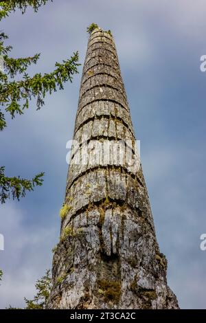 Totem pole with grooves marking numbers of potlatches, in the ancient village site of K'uuna Linagaay, aka Skedans, on Louise Island, aka K'uuna Gwaay Stock Photo