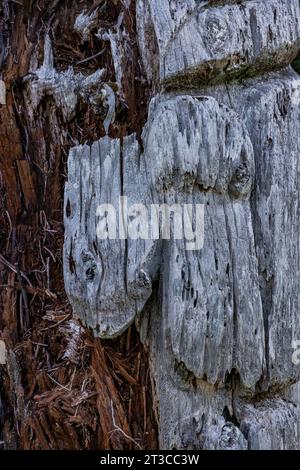 Totem pole atUNESCO World Heritage Site Sgang Gwaay Llnagaay, an ancient village site inGwaii Haanas National Park Reserve, Haida Gwaii, British Colum Stock Photo