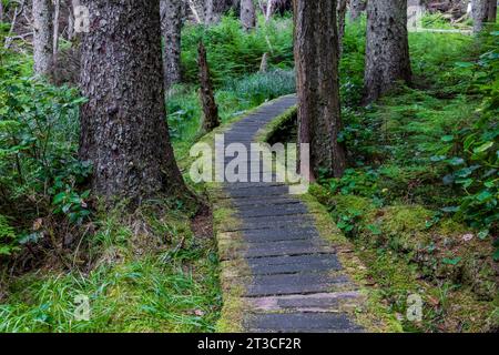 Trail leading to UNESCO World Heritage Site Sgang Gwaay Llnagaay, aka Ninstints, in Gwaii Haanas National Park Reserve, Haida Gwaii, British Columbia, Stock Photo