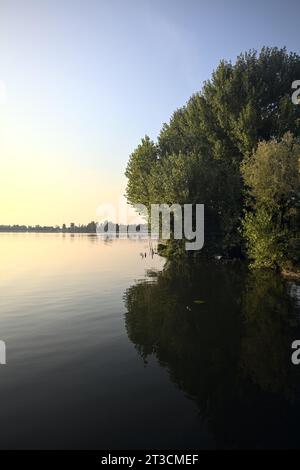 Trees and their reflections by the lakeshore at sunset Stock Photo - Alamy