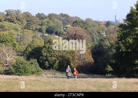 October weather on Hampstead Heath, in north London, UK Stock Photo