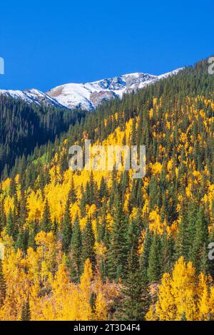 Autumn color along the Million Dollar Highway (US 550) portion of the San Juan Skyway Scenic Byway in Colorado. Stock Photo