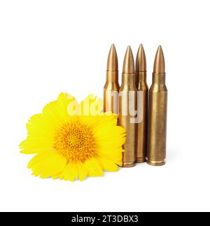 Bullets and beautiful flower isolated on white Stock Photo