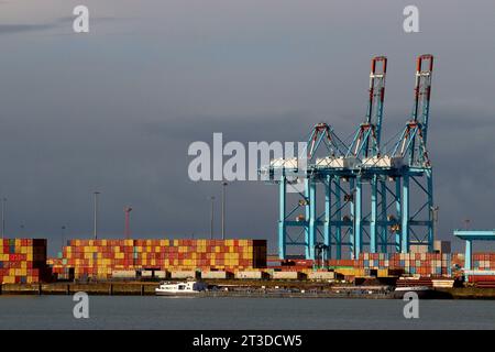 Containers and STS Cranes illuminated by mid morning sunlight against a dark threatening sky, at the Belgian port of Zeebrugge, January 2023. Stock Photo