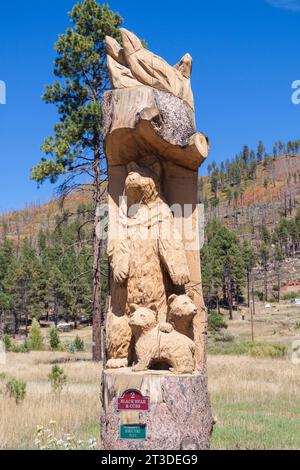 In 2002, a fire destroyed a large area around Vallecito Lake. Around the lake there are several unique carvings of damaged trees near Vallecito Lake. Stock Photo